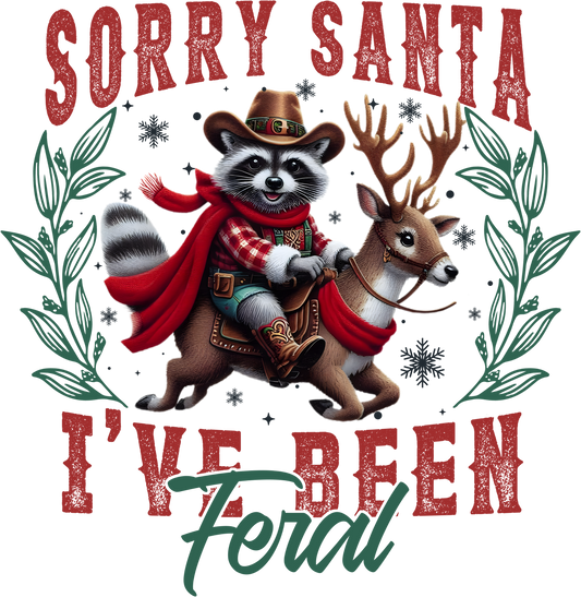CH44 SORRY SANTA
