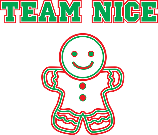 CH67 TEAM NICE