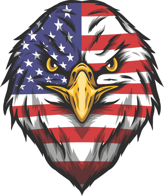 J14 - AMERICAN FLAG EAGLE HEAD