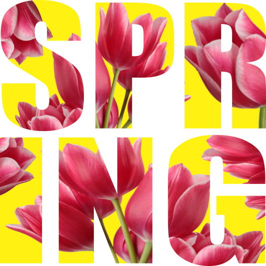 SEF 25 - SPRING TULIPS