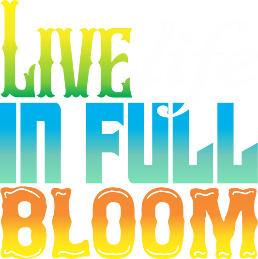 SEF 27 - LIVE LIFE