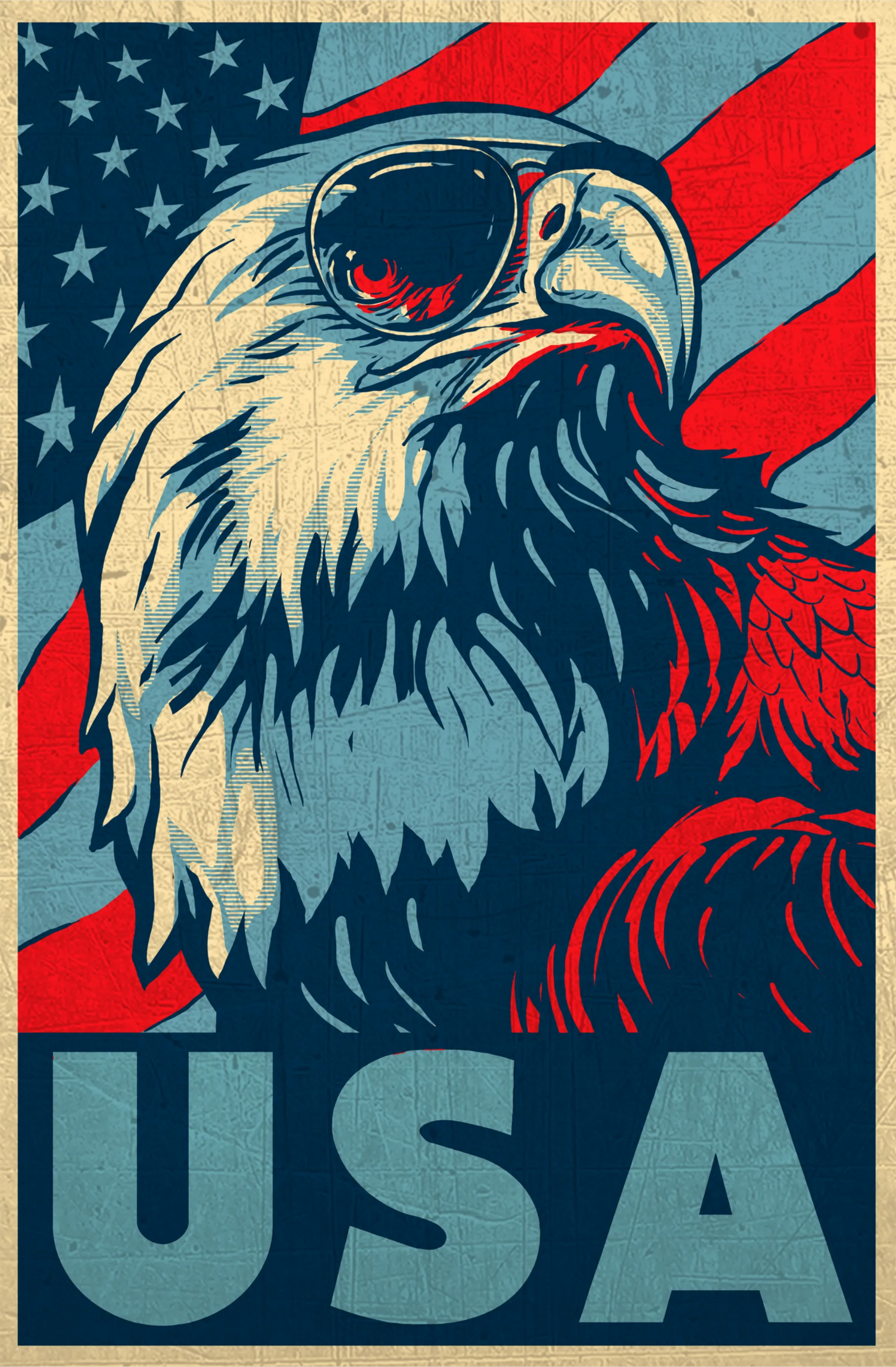 J7 - USA Eagles w/ Sunglasses DTF Transfer, DTF Transfer, Apparel & Accessories, Ace DTF