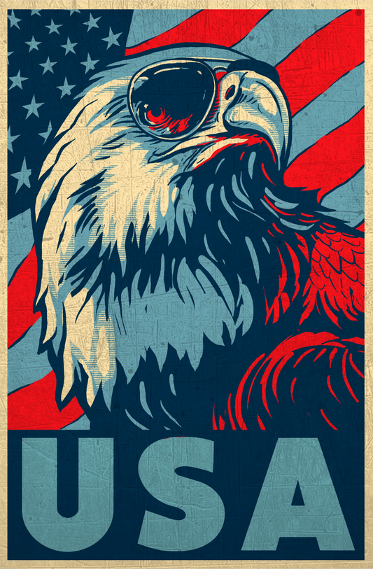 J7 - USA Eagles w/ Sunglasses DTF Transfer, DTF Transfer, Apparel & Accessories, Ace DTF