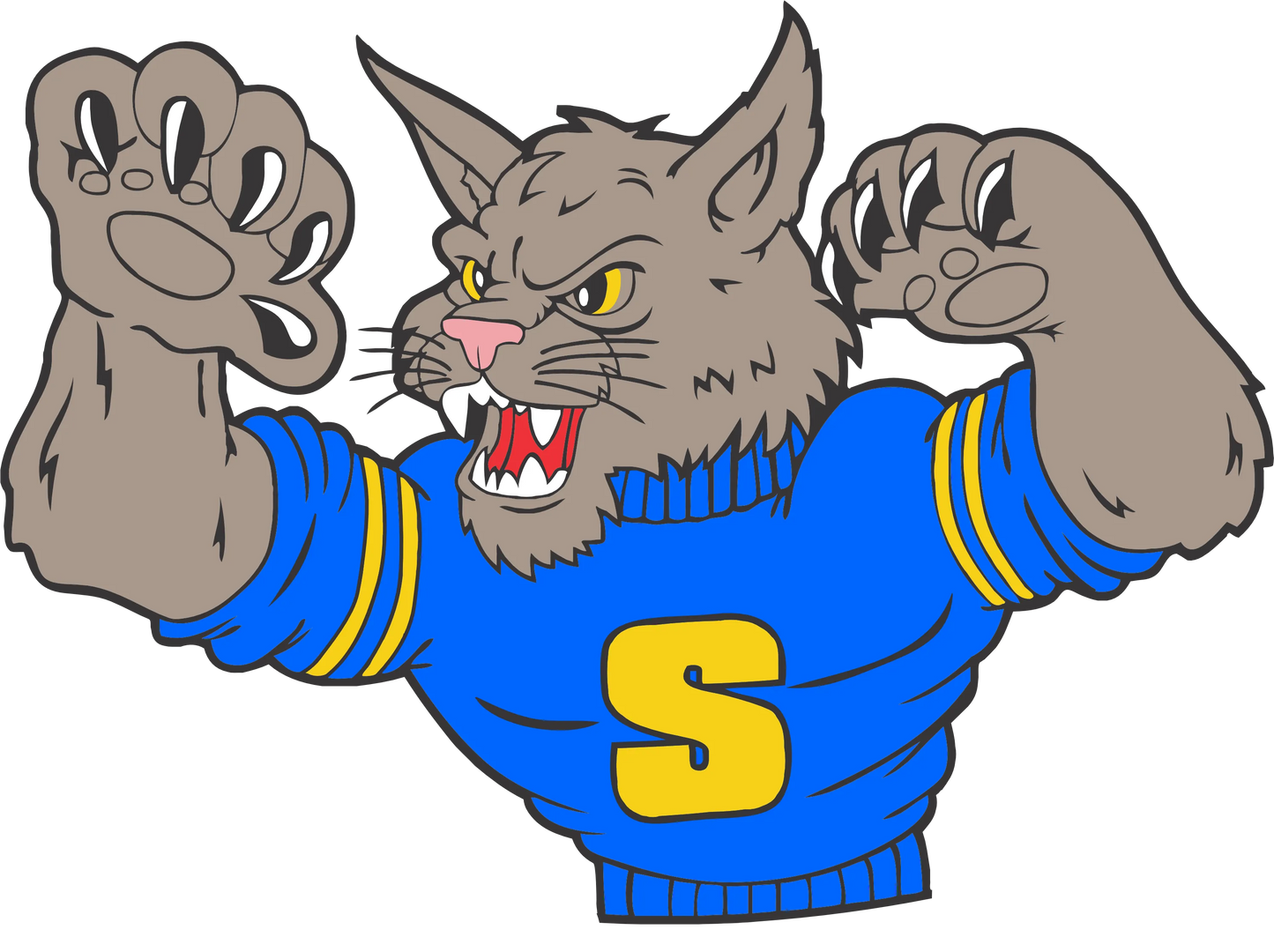 Springfield Wildcats, DTF Transfer, Apparel & Accessories, Ace DTF